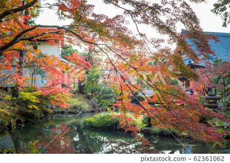 Autumn at Kinkai Komyo-ji Temple, Autumn Leaves and Hojo in the Shiun Garden Autumn at Kinkai Komyo-ji Temple, Autumn Leaves and Hojo in the Shiun Garden 62361062