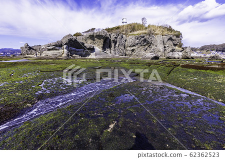 (Shizuoka Prefecture) Izu Peninsula Geopark, Ebisu Island Senjojiki Aosa 62362523