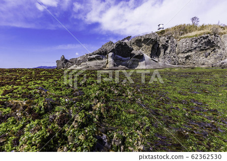 （靜岡縣）伊豆半島地質公園，惠比壽島千jo敷Aosa 62362530