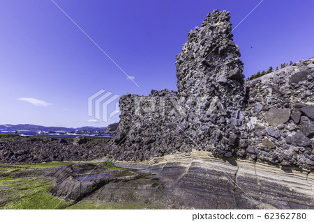 (Shizuoka Prefecture) Izu Peninsula Geopark / Ebisu Island / Senjojiki / Early Formation 62362780