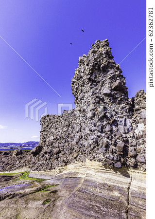 (Shizuoka Prefecture) Izu Peninsula Geopark / Ebisu Island / Senjojiki / Early Formation (Shizuoka Prefecture) Izu Peninsula Geopark / Ebisu Island / Senjojiki / Early Formation 62362781