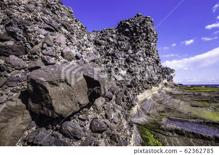 (Shizuoka Prefecture) Izu Peninsula Geopark / Ebisu Island / Senjojiki / Early Formation (Shizuoka Prefecture) Izu Peninsula Geopark / Ebisu Island / Senjojiki / Early Formation 62362785