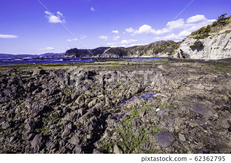 (Shizuoka Prefecture) Izu Peninsula Geopark / Ebisu Island / Senjojiki / Early Formation (Shizuoka Prefecture) Izu Peninsula Geopark / Ebisu Island / Senjojiki / Early Formation 62362795