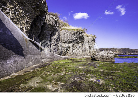 (Shizuoka Prefecture) Izu Peninsula Geopark, Ebisu Island Senjojiki Aosa 62362856