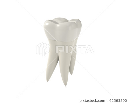 3d illustration of simple molar tooth. 62363290