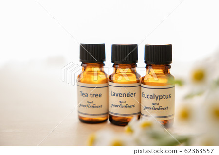 Aroma oil bottle and chamomile Aroma oil bottle and chamomile 62363557
