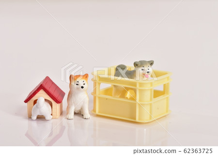 Akita dog and beer case 62363725