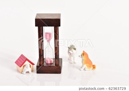 Akita dog and hourglass 62363729