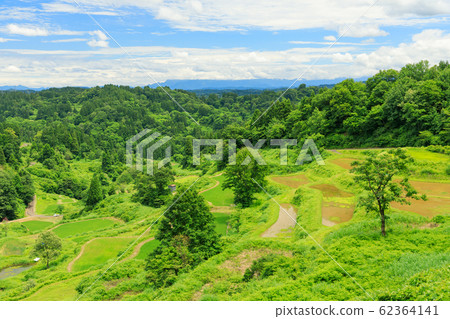 Niigata Tokamachi_Gamo rice terraces Niigata Tokamachi_Gamo rice terraces 62364141