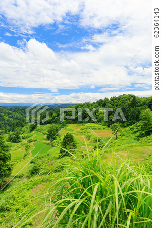 新潟十日町_加茂水稻梯田 62364143