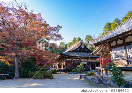 Hunan Sanzan autumn leaves inside the grounds of Zensui Temple 62364423
