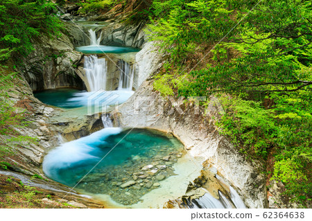 Yamanashi _ Nanatsugama 5-stage waterfall fresh green 62364638