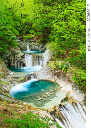 Yamanashi _ Nanatsugama 5-stage waterfall fresh green 62364643