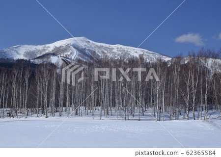 冬季,雪景,山脈,自然,風景,樹,陽光,藍色 62365584