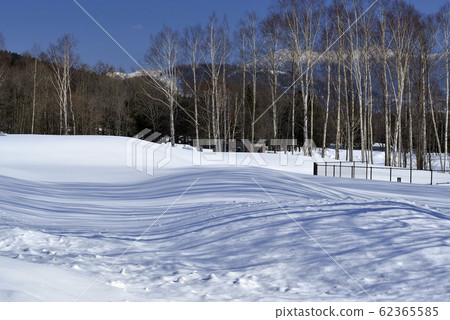 冬季,雪景,山脈,自然,風景,樹,陽光,藍色 62365585