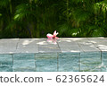 Bali villa 62365624