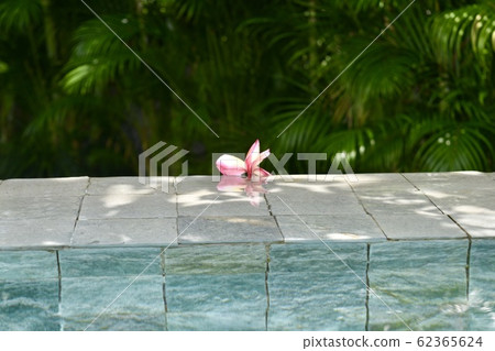 Bali villa Bali villa 62365624