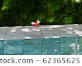 Bali to live like 62365625