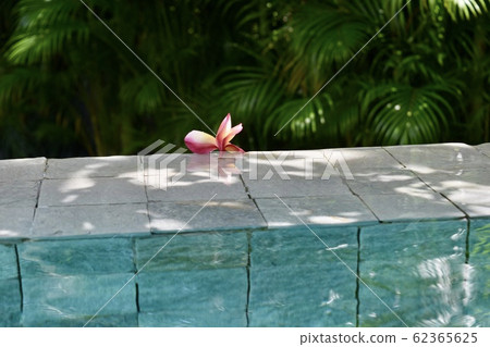 Bali to live like Bali to live like 62365625