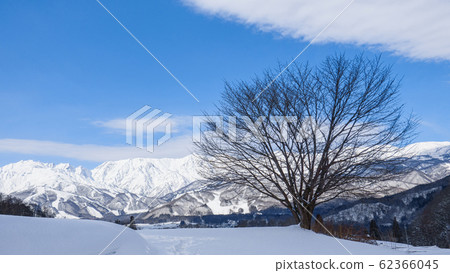 白馬村冬季風光 白馬村冬季風光 62366045