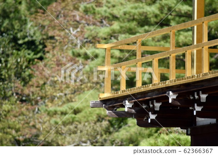金閣寺 金閣寺 62366367