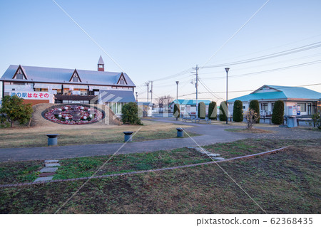 道站花之野花時鐘深谷 照片素材 圖片 圖庫