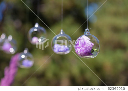Decor details with fresh flowers. Flower buds in 62369010