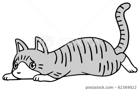 Illustration of a fallen cat (Sabatra) _ troubled face 62369022