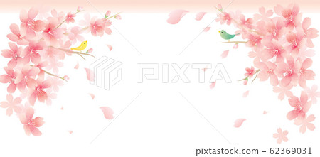 春天櫻花背景 62369031