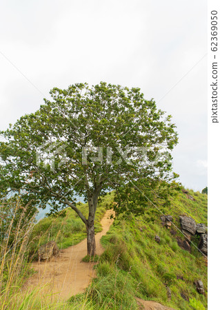 Mountain landscape, green slopes. Beauty of 62369050