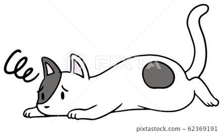 Illustration of a fallen cat (black spot) _ troubled face 62369191