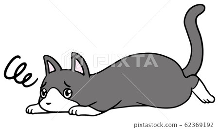 Illustration of a fallen cat (beetle) _ troubled face 62369192