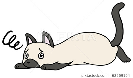 Illustration of a fallen cat (siamese) _ troubled face 62369194