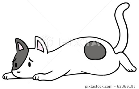 Illustration of a fallen cat (black spot) _ troubled face 62369195