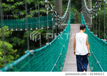 Beautiful green park with cable cars. Wildlife Beautiful green park with cable cars. Wildlife 62369221