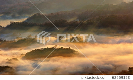 Morning in the morning mist 62369338