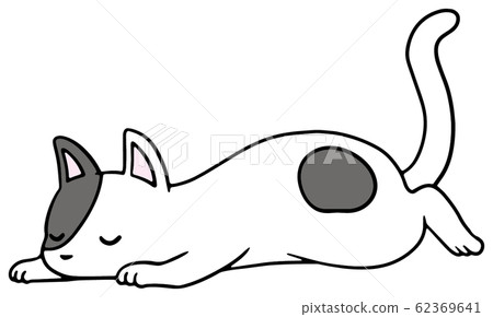 Illustration of a fallen cat (black spot) _ sleeping face 62369641