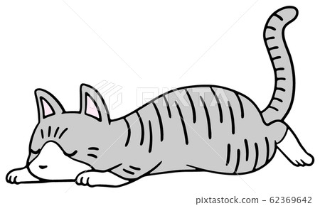 Illustration of a fallen cat (Sabatra) _ sleeping face Illustration of a fallen cat (Sabatra) _ sleeping face 62369642
