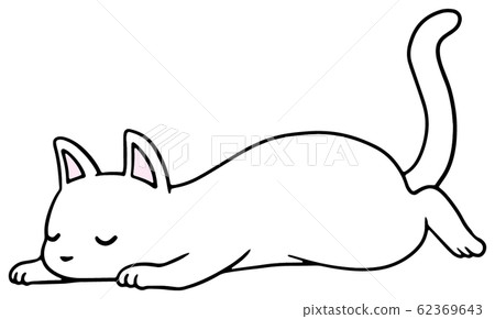Illustration of a fallen cat (white) _ sleeping face Illustration of a fallen cat (white) _ sleeping face 62369643