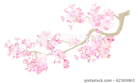 材質零件-櫻花樹枝-春天-日本-日本風格-日本圖案-日本紙-日本 材質零件-櫻花樹枝-春天-日本-日本風格-日本圖案-日本紙-日本 62369963