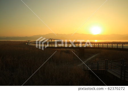 Reed Field Landscape, Sunrise Landscape Reed Field Landscape, Sunrise Landscape 62370272