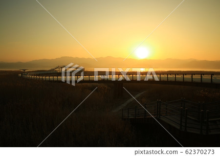 Reed Field Landscape, Sunrise Landscape Reed Field Landscape, Sunrise Landscape 62370273