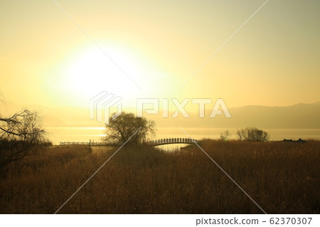 Reed Field Landscape, Sunrise Landscape Reed Field Landscape, Sunrise Landscape 62370307