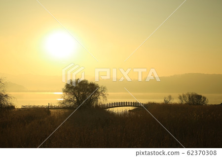 Reed Field Landscape, Sunrise Landscape Reed Field Landscape, Sunrise Landscape 62370308
