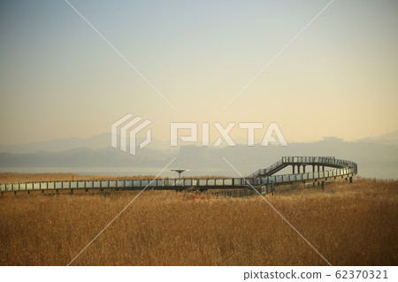 Reed Field Landscape, Sunrise Landscape Reed Field Landscape, Sunrise Landscape 62370321