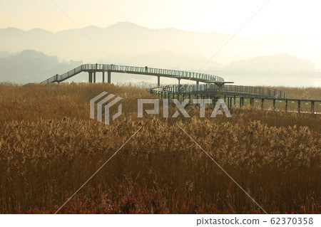 蘆葦場景觀，日出景觀 62370358