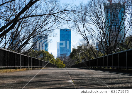 從代代木公園看澀谷 從代代木公園看澀谷 62371975