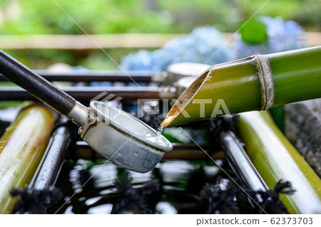 與鋼包在Tesuisha，繡球花在背景上抽水的形象 62373703