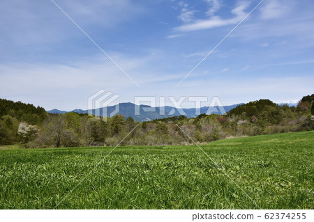 岐阜縣惠那市Tono Farm 62374255