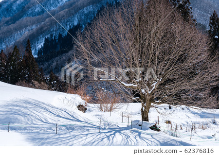 Hakuba village winter scenery Hakuba village winter scenery 62376816